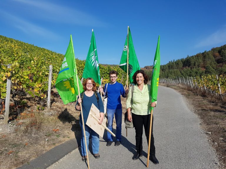 Demonstration gegen die Rodung des Thüngersheimer Walds