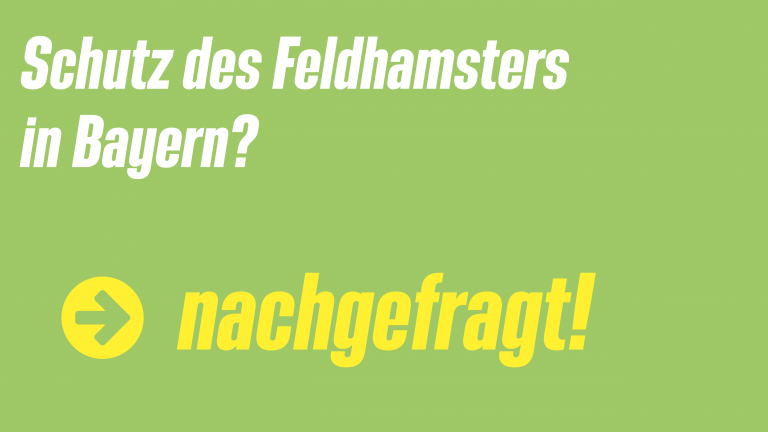 Schutz des Feldhamsters in Bayern