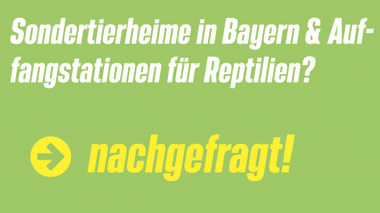 Sondertierheime & Auffangstationen für Reptilien