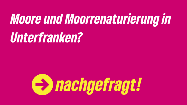 Moore und Moorrenaturierung in Unterfranken